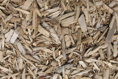 biomass boilers Wainfelin
