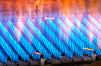 Wainfelin gas fired boilers